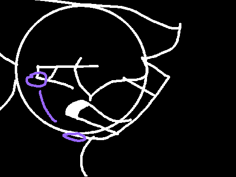 ignore dis gfdgd