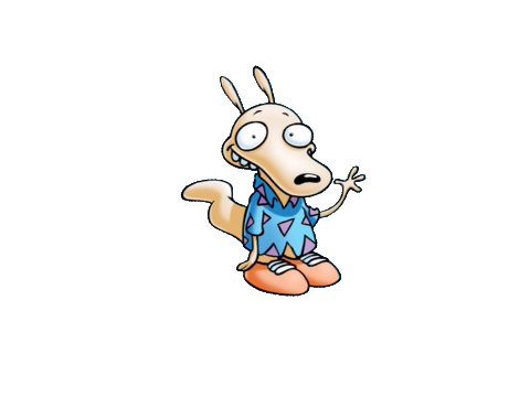 Talk to Rocko!