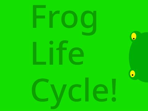 Frog Life Cycle