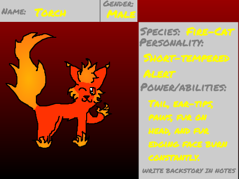 The Unknowns RPG Bio Sheet- Torch