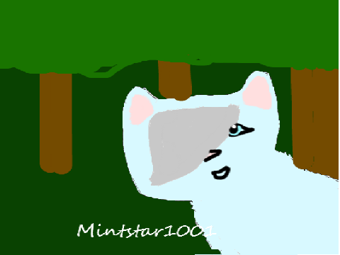 LOGO FOR MINTSTAR1001