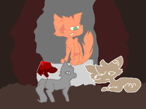 Warrior cats: Untold.