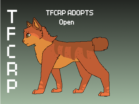 || TFCRP Adopts ||