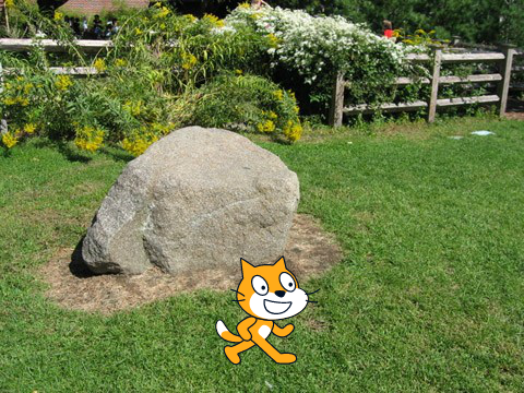 The Hungary Cat