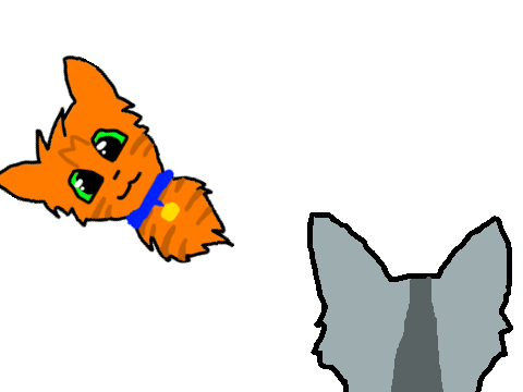 The adventures of Rusty the kittypet