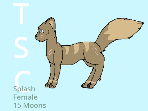 The Silent Clans Roleplay: Splashlight