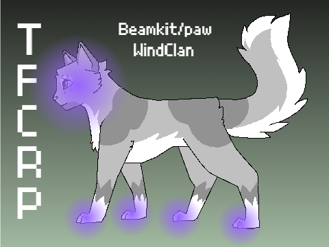 Beambird Ref Sheet