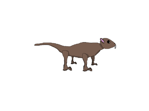 Rodent