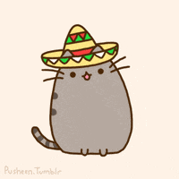Wizardtacoboi gif!