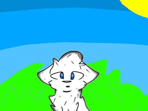 Narwhals MAP ⋆ 10