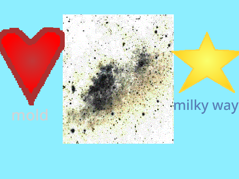 What is this? :) Mold or the Milky way