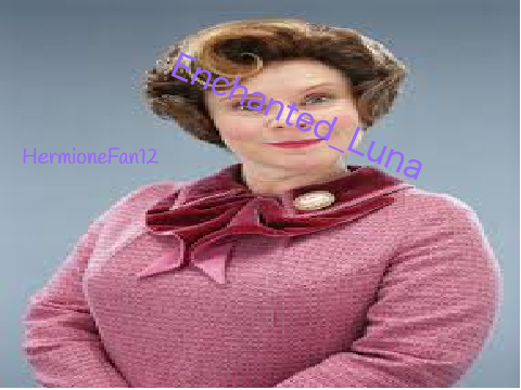 Sign if you hate umbridge remix