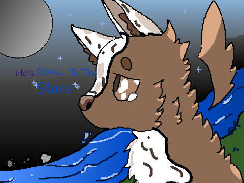 ECHO-CC-[open](Win Adoptables!) remix