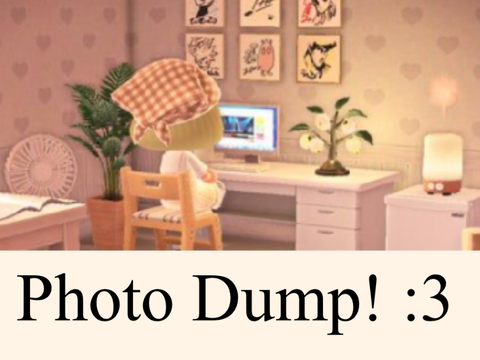 photo dump