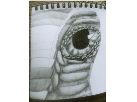 Update-3 WIP eye thing for class
