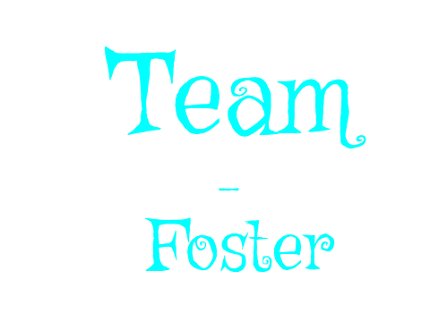Intro Team_Foster
