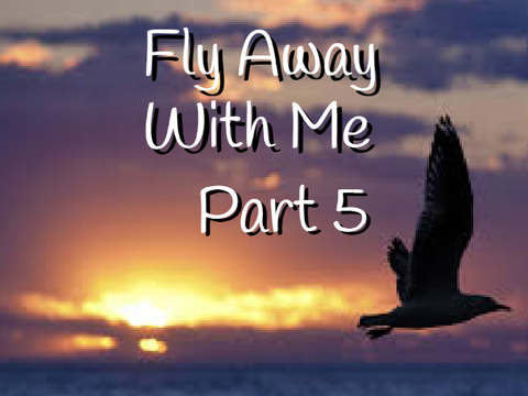 Fly Away With Me: Part 5