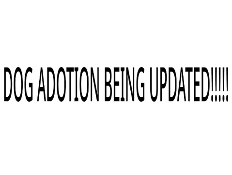 Announcement!