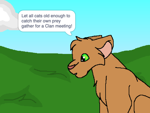 Warrior Cats: Train Your Apprentice