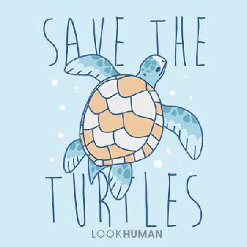 Save the Turtles TODAY!
