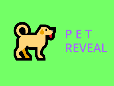 Pet *puppy* reveal! :D