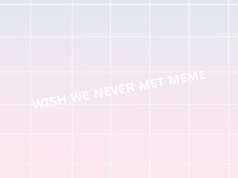 wish we never met meme 