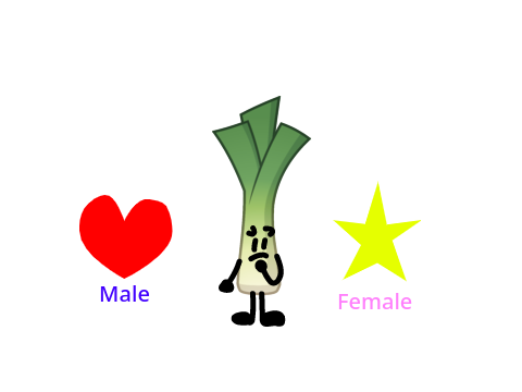 Which gender do you think I will be?