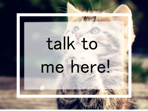 ♡ | talk to me here! ˎˊ-