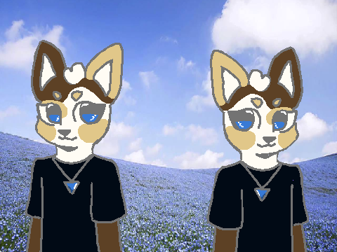 some art