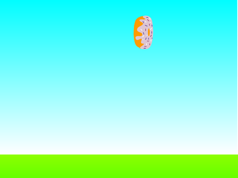 Catch the donut