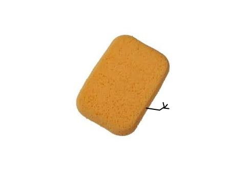 Susan the Sponge: Trailer