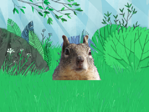 Scratch Squirrel Meme