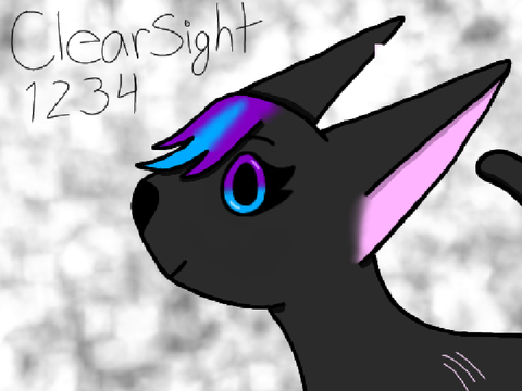 Pfp Entry For @ClearSight1234