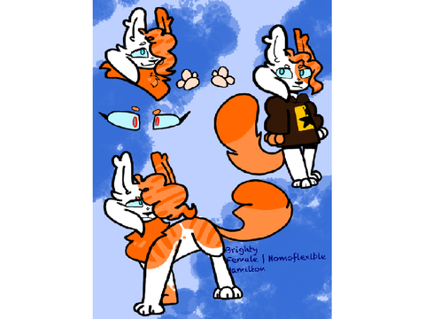 ★ ; Brighty Ref