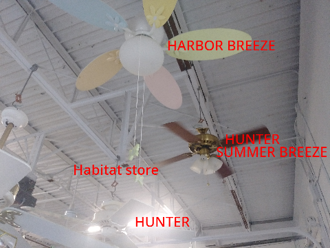 CEILING FAN SIGHTINGS II
