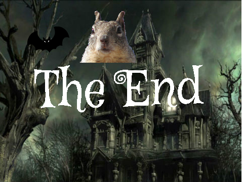 Squirrel Bat Story Template 