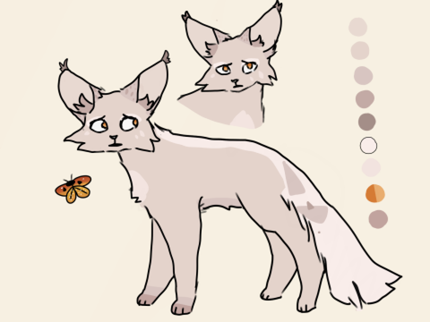 shea's ref!