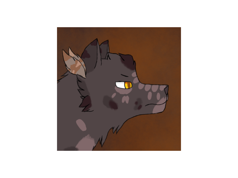 My new pfp