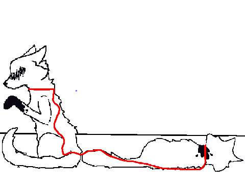 Pt. 28