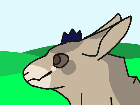 Bunny man