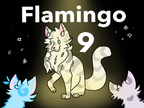 Flamingo | 9