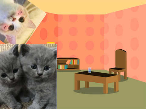 Pink Princess, Kimmy and Blue's home!