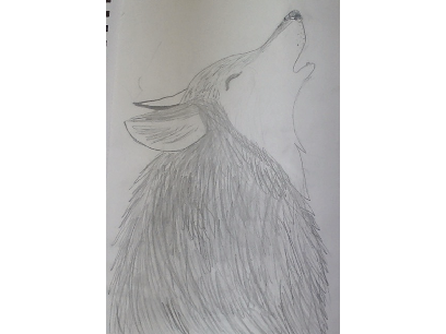wolf