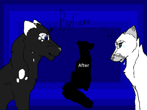 Wolf Art Practice 