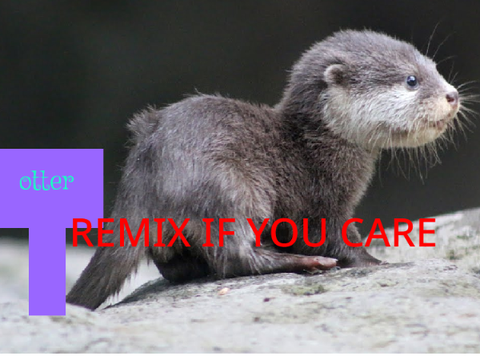 SAVE THESE ANIMALS remix