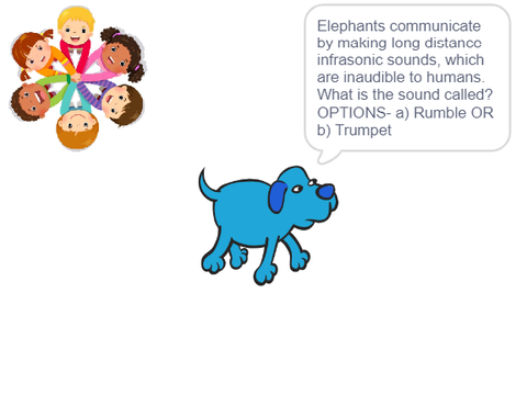 Save Animals (4 in 1 Game)