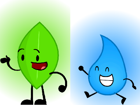 Leafy vs. Teardrop