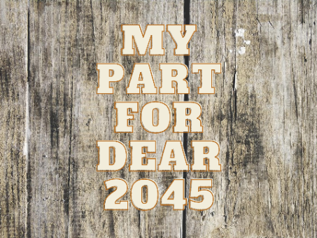 Part 1 - Dear 2045 MAP