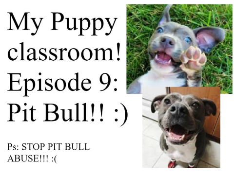 My puppy Classroom! Episode 9: Pit Bulls!
