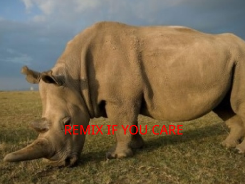SAVE THESE ANIMALS remix